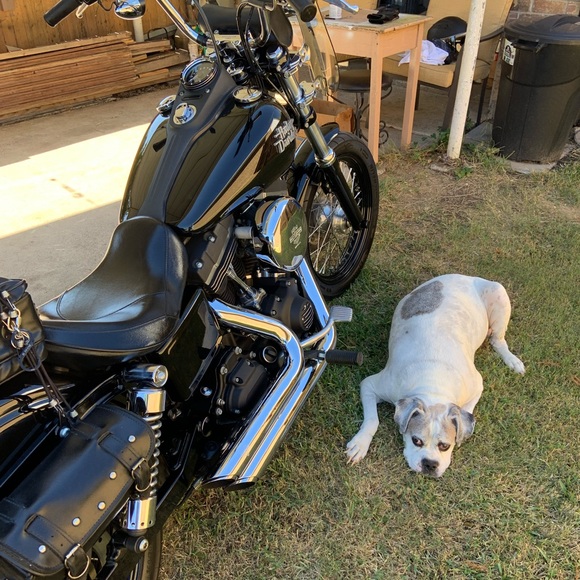 Meet your Posher, Mike - Picture 1 of 1